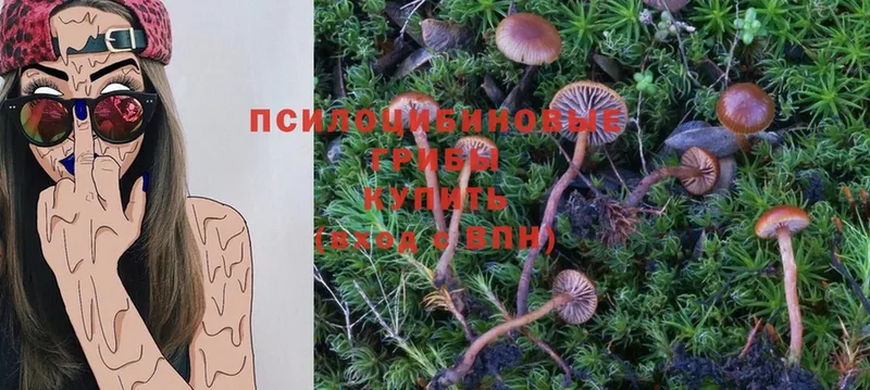 Псилоцибиновые грибы Magic Shrooms  Зеленокумск 